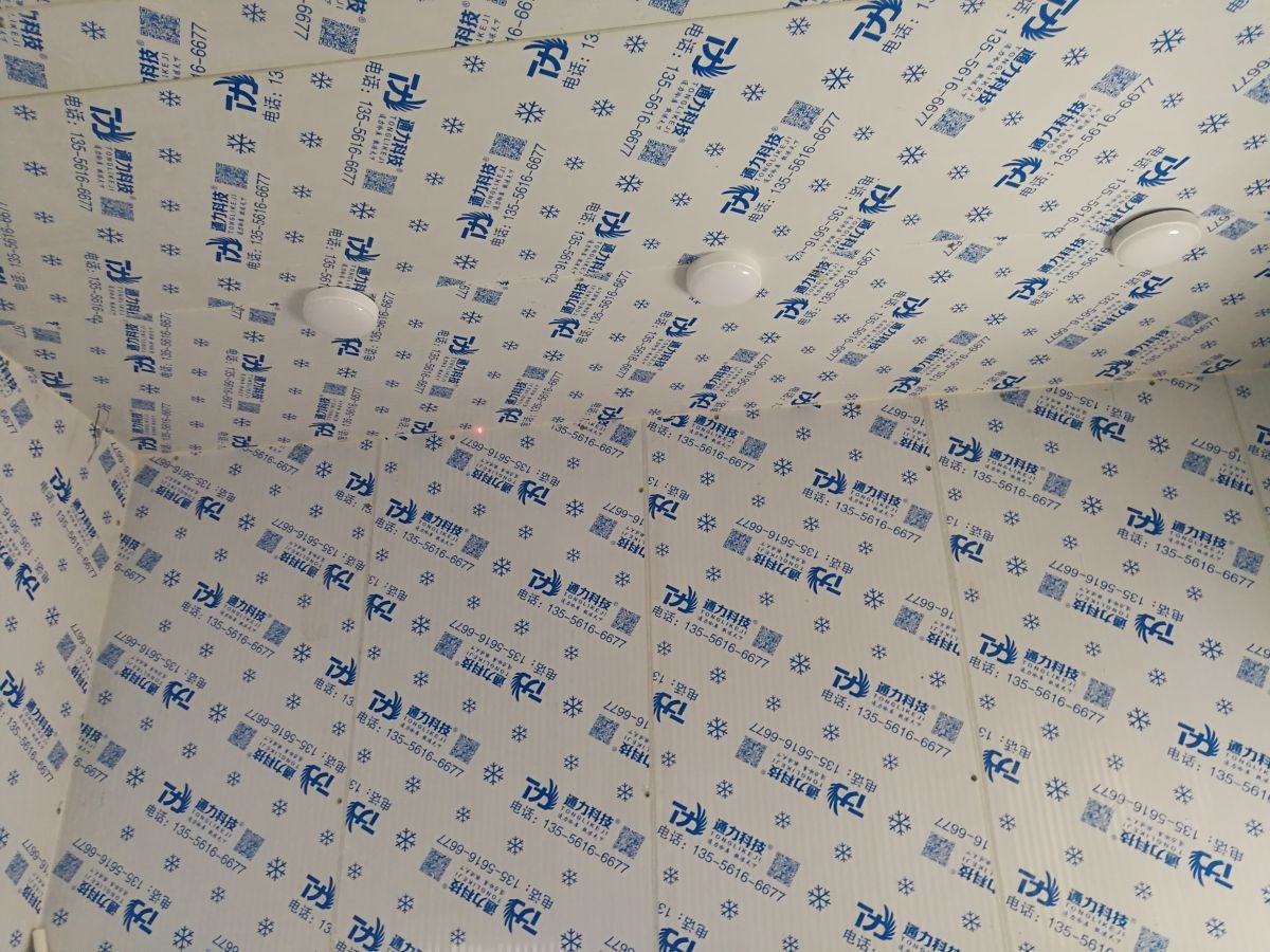 深圳李總蛇口飄（piāo）雪機