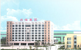 江蘇慶峰國際環保工程有（yǒu）限（xiàn）公司合作案例（lì）